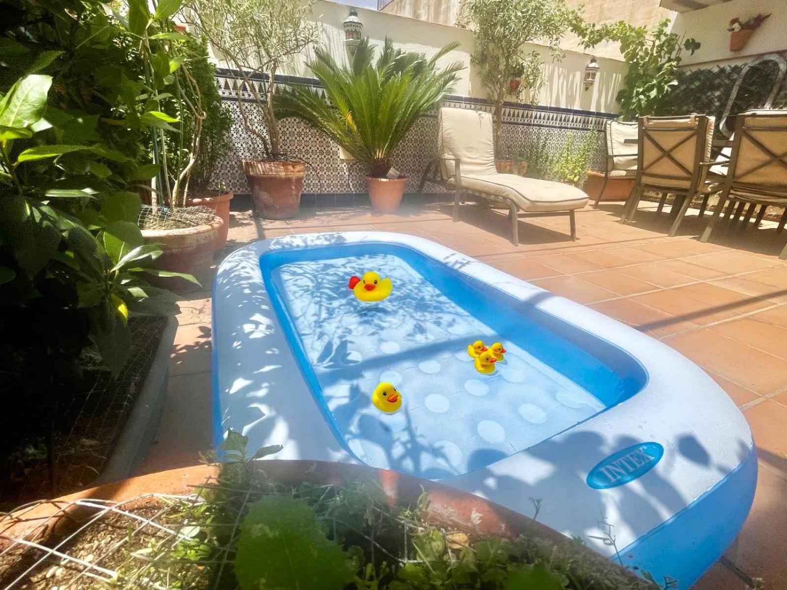 Maravilloso Apartamento Centrico De 70M2, Jardin Propio 40M2 Con Piscina Para Ninos Y Parking Opcional Málaga Exterior foto