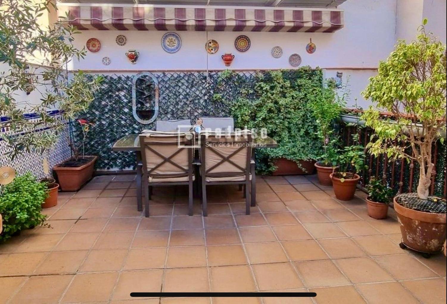 Maravilloso Apartamento Centrico De 70M2, Jardin Propio 40M2 Con Piscina Para Ninos Y Parking Opcional Málaga Exterior foto