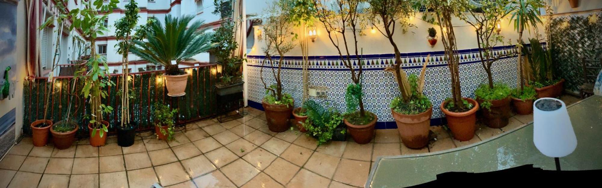 Maravilloso Apartamento Centrico De 70M2, Jardin Propio 40M2 Con Piscina Para Ninos Y Parking Opcional Málaga Exterior foto